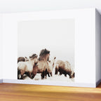 WILD AND FREE 2 - HORSES OF ICELAND Wall Mural Gallery Image 2