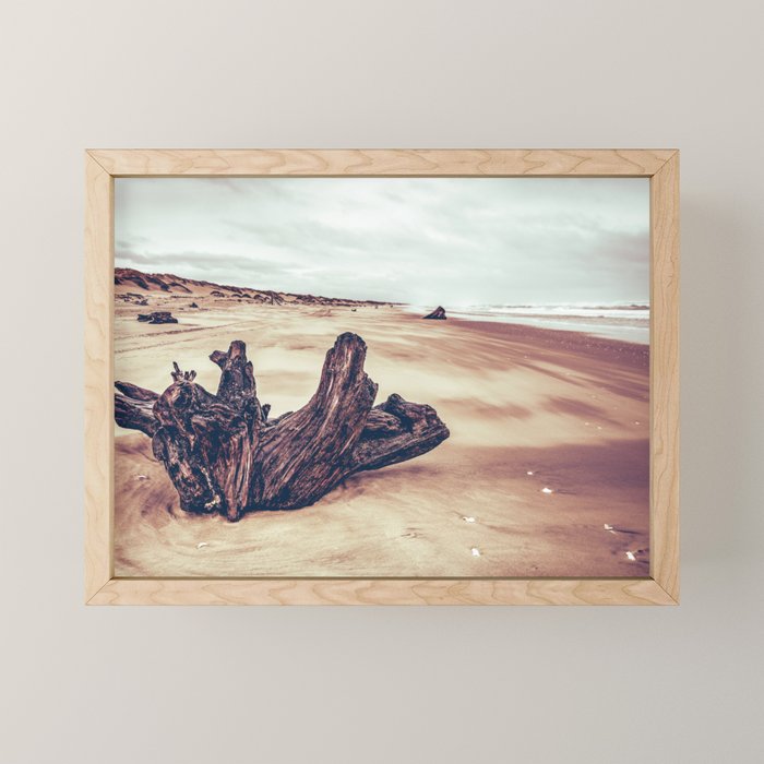 Ocean Driftwood Mini Art Print Gallery Image 1