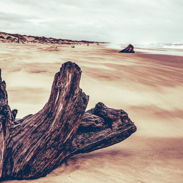 Ocean Driftwood Coffee Mug Gallery Image 2