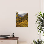 Colorado Valley View Poster Gallery Image 2