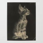 CAT scan Poster Gallery Image 4