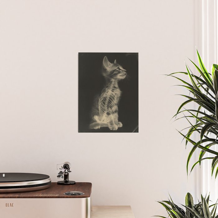 CAT scan Poster Gallery Image 2