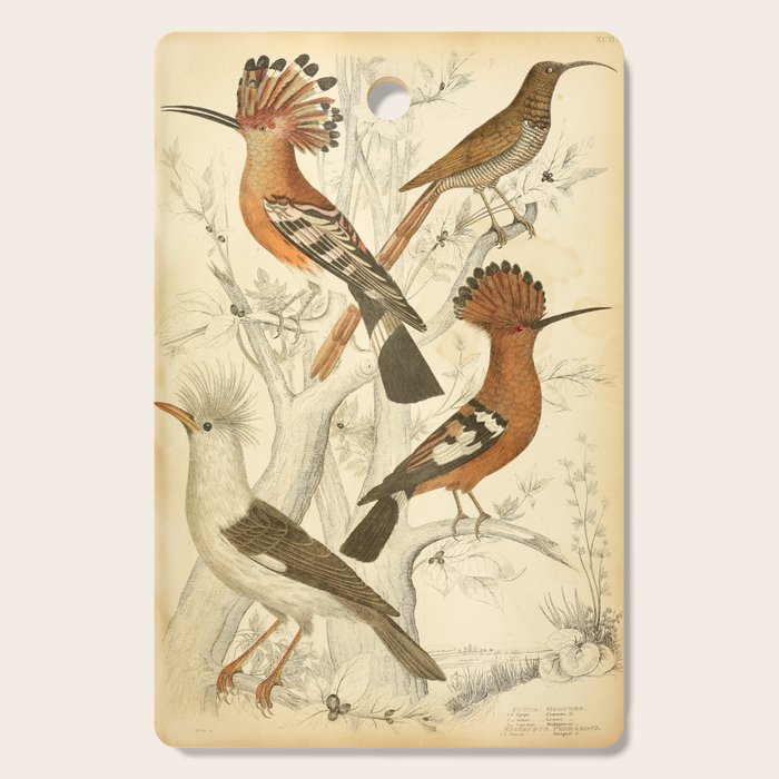 Hoopoes from The Edinburgh Journal, 1835 (benefitting The Nature Conservancy) Cutting Board Gallery Image 1