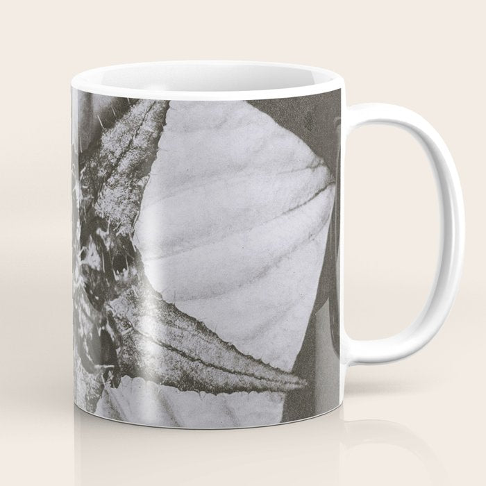 Snowbird, The Magic Garden of Nature, autumn blossom black and white photograph by Karl Blossfeldt Coffee Mug Gallery Image 1