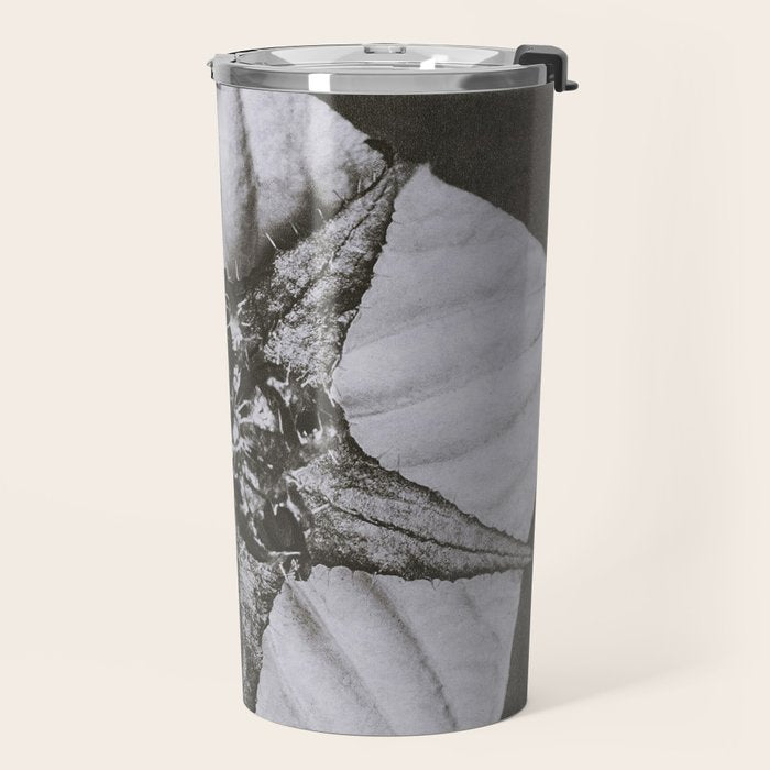 Snowbird, The Magic Garden of Nature, autumn blossom black and white photograph by Karl Blossfeldt Travel Mug Gallery Image 2