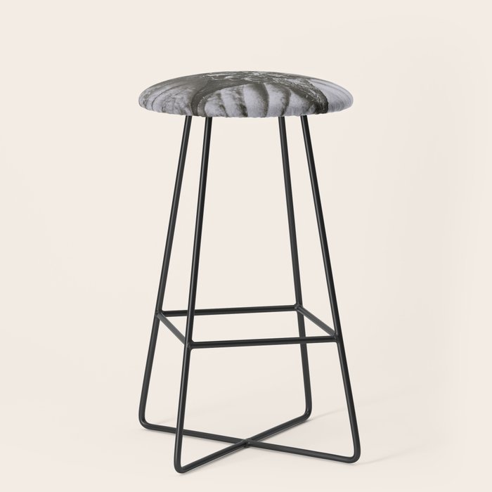 Snowbird, The Magic Garden of Nature, autumn blossom black and white photograph by Karl Blossfeldt Stool Gallery Image 1