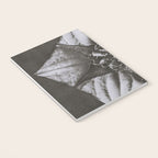 Snowbird, The Magic Garden of Nature, autumn blossom black and white photograph by Karl Blossfeldt Notebook Gallery Image 3