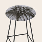 Snowbird, The Magic Garden of Nature, autumn blossom black and white photograph by Karl Blossfeldt Stool Gallery Image 2