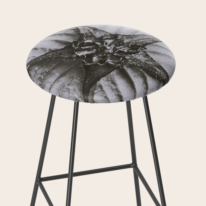Snowbird, The Magic Garden of Nature, autumn blossom black and white photograph by Karl Blossfeldt Stool Gallery Image 2