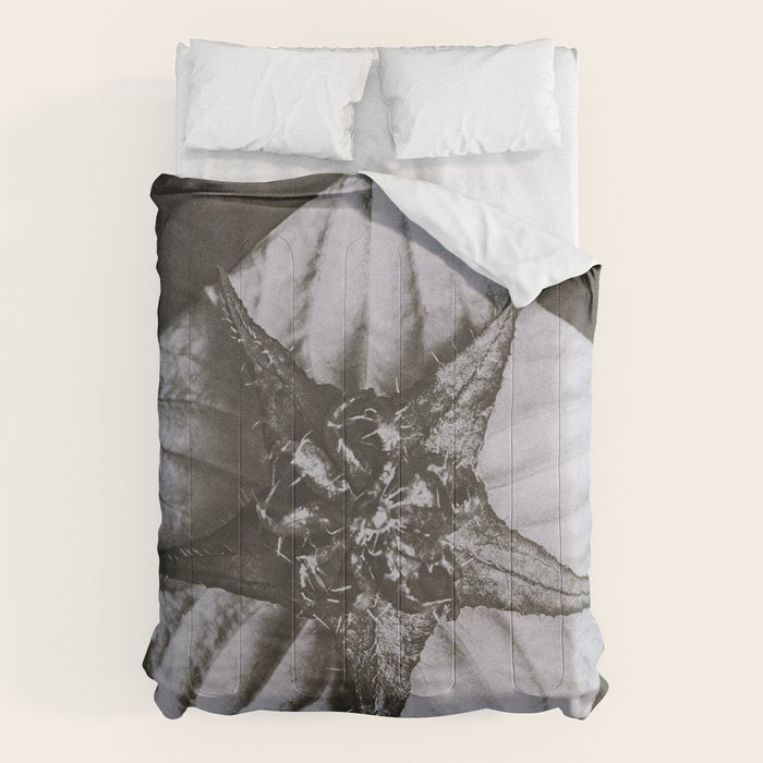 Snowbird, The Magic Garden of Nature, autumn blossom black and white photograph by Karl Blossfeldt Comforter Gallery Image 1