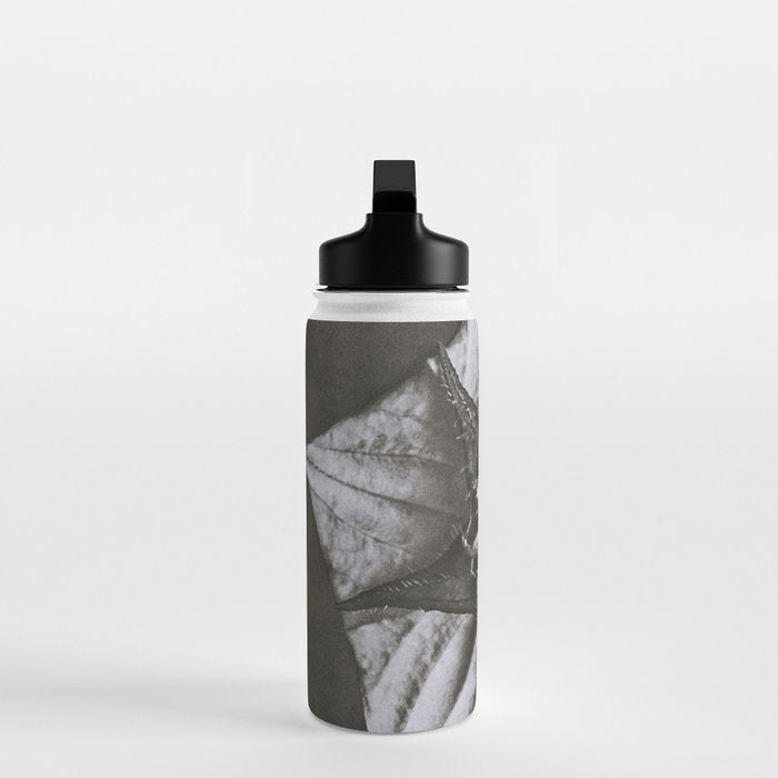 Snowbird, The Magic Garden of Nature, autumn blossom black and white photograph by Karl Blossfeldt Water Bottle Gallery Image 3