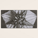 Snowbird, The Magic Garden of Nature, autumn blossom black and white photograph by Karl Blossfeldt Desk Mat Gallery Image 3