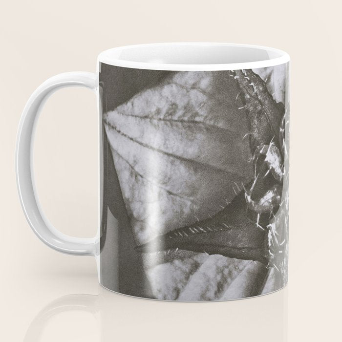 Snowbird, The Magic Garden of Nature, autumn blossom black and white photograph by Karl Blossfeldt Coffee Mug Gallery Image 3
