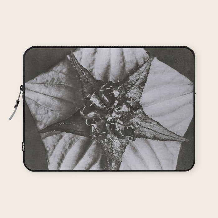 Snowbird, The Magic Garden of Nature, autumn blossom black and white photograph by Karl Blossfeldt Laptop Sleeve Gallery Image 1