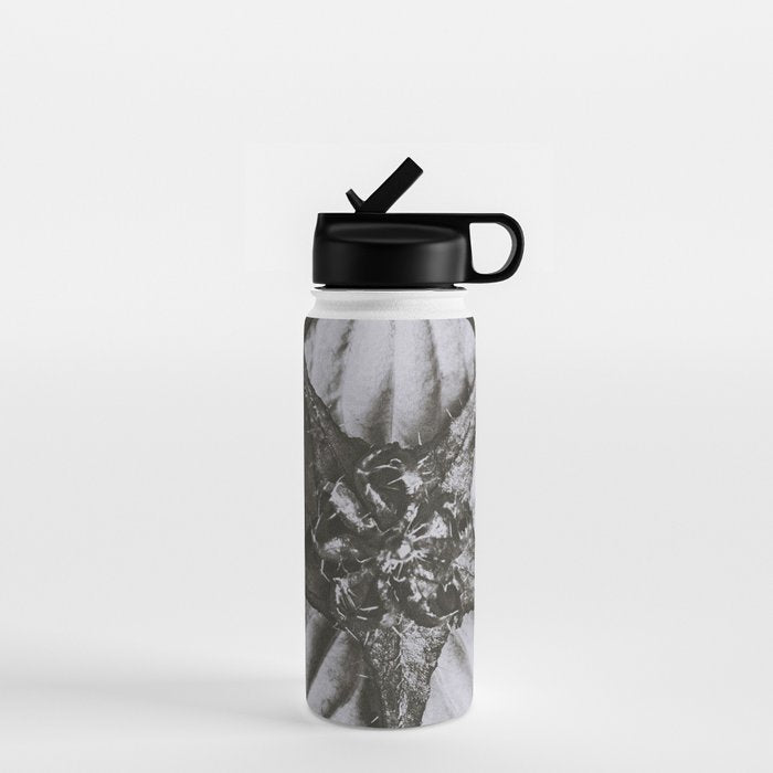 Snowbird, The Magic Garden of Nature, autumn blossom black and white photograph by Karl Blossfeldt Water Bottle Gallery Image 1