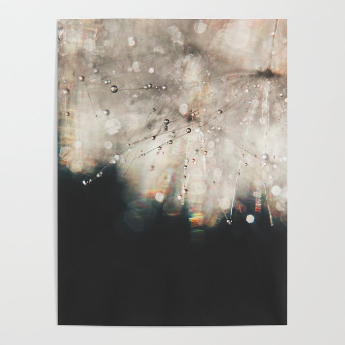 Dandelion Silver and Black rainbow sparkle Poster Gallery Image 4
