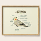 Anatomy of a Cockatiel Serving Tray Gallery Image 1