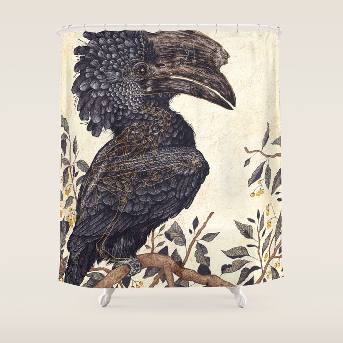 Silvery Cheeked Hornbill Shower Curtain Gallery Image 1