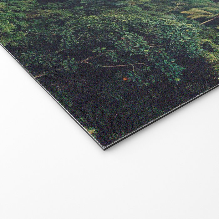 The Visitors // UFOs in Paradise Welcome Mat Gallery Image 2