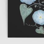 Morning Glory and Thistle Poster Gallery Image 3