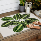 Maranta Lemon lime interior Plant Outdoor Rug Gallery Image 2