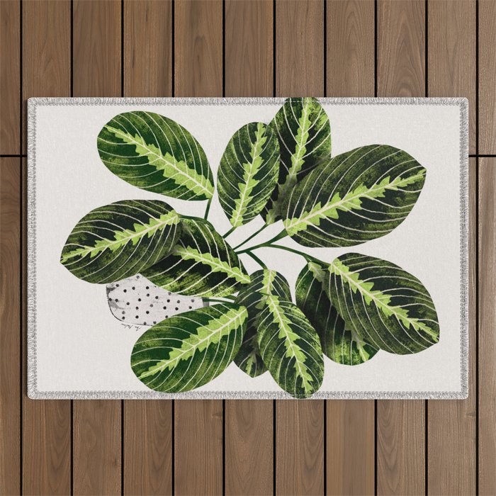 Maranta Lemon lime interior Plant Outdoor Rug Gallery Image 1