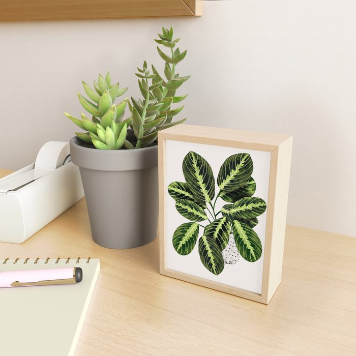 Maranta Lemon lime interior Plant Mini Art Print Gallery Image 2