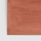 Terracotta desert sun Poster Gallery Image 3