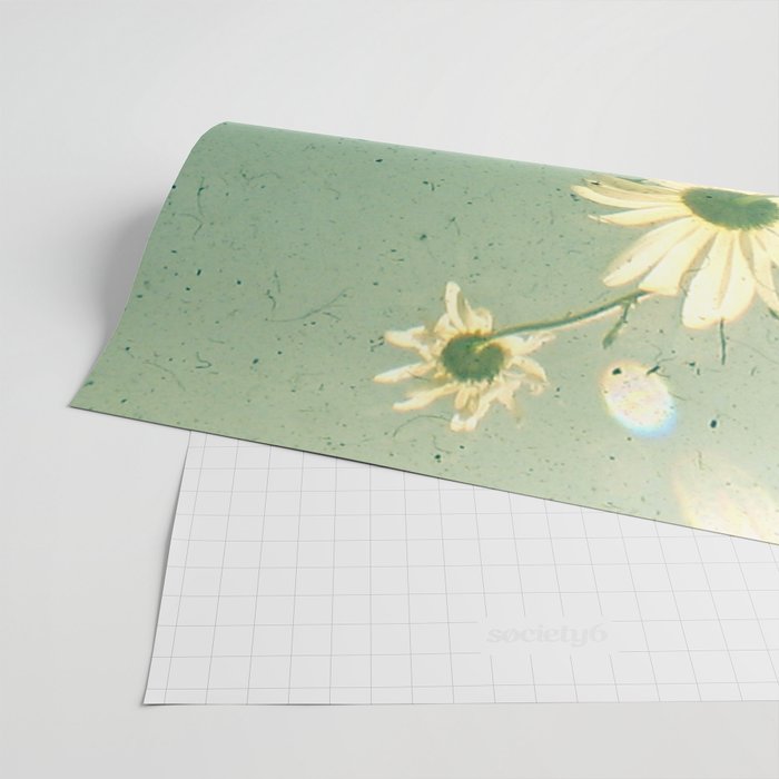 Daisy Wrapping Paper Gallery Image 2