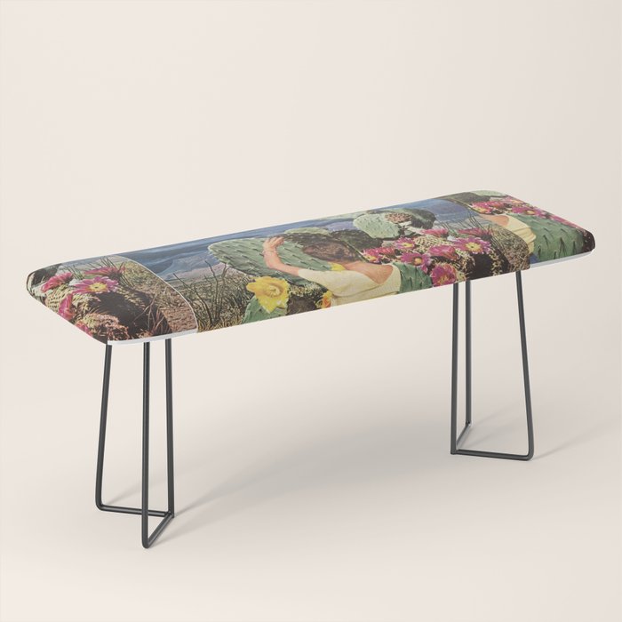 Curious Bench Gallery Image 1
