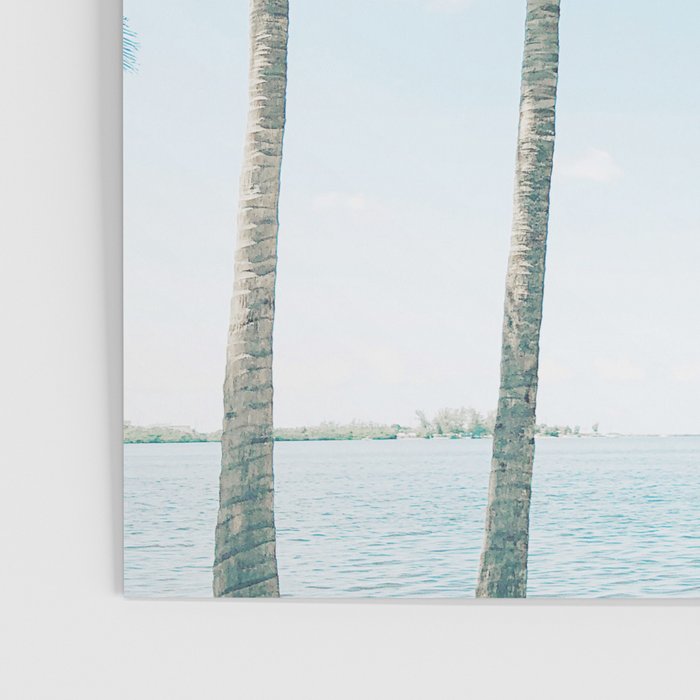 Tropical Palm Trees Poster Gallery Image 3