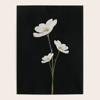 Flowers 5 Poster Gallery Image 4