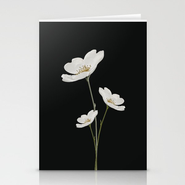 Flowers 5 Stationery Card Gallery Image 2