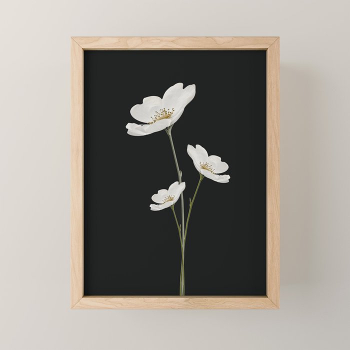 Flowers 5 Mini Art Print Gallery Image 1