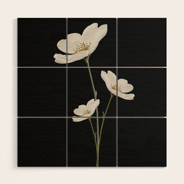 Flowers 5 Wood Wall Art Gallery Image 1
