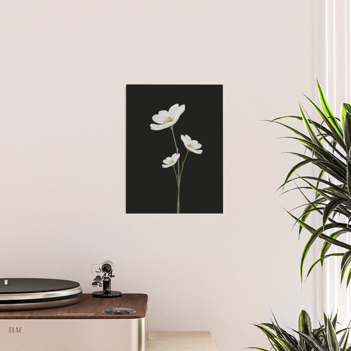 Flowers 5 Poster Gallery Image 2