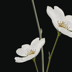 Flowers 5 Coffee Mug Gallery Image 2