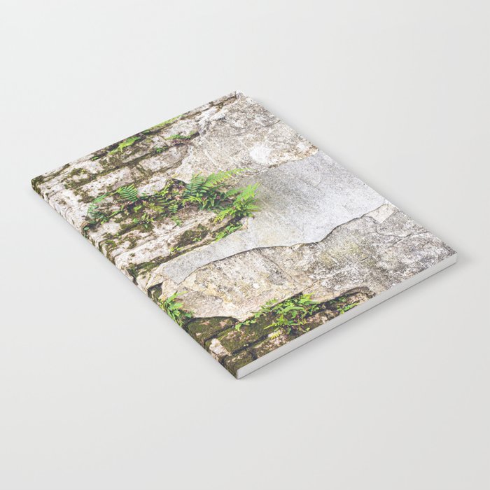 Organic Textures x New Orleans Photography Notebook Gallery Image 1