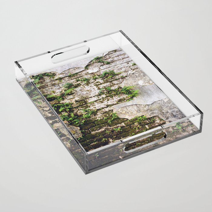 Organic Textures x New Orleans Photography Acrylic Tray – Society6