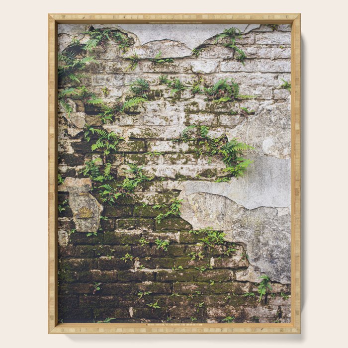 Organic Textures x New Orleans Photography Serving Tray Gallery Image 1