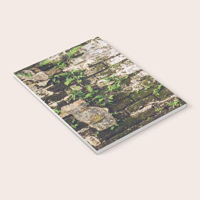 Organic Textures x New Orleans Photography Notebook Gallery Image 3