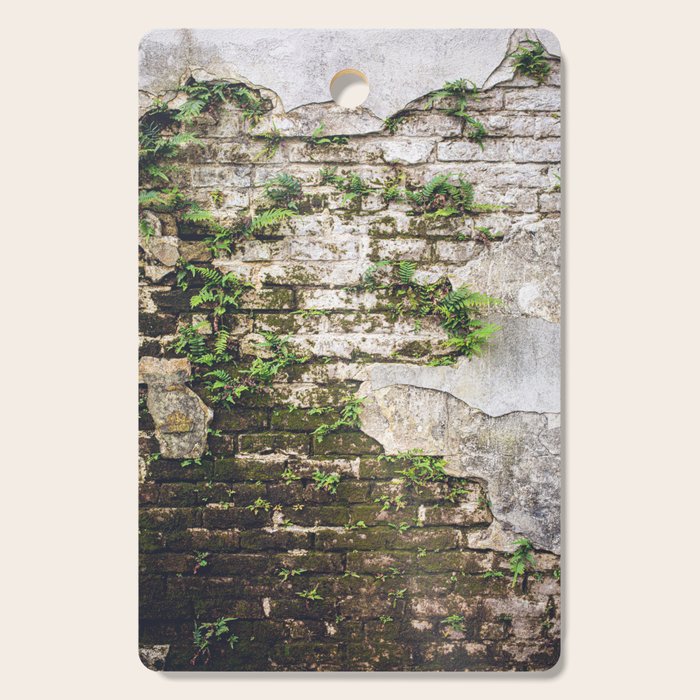 Organic Textures x New Orleans Photography Cutting Board Gallery Image 1