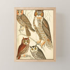 Owls from The Edinburgh Journal, 1835 (benefitting The Nature Conservancy) Mini Art Print Gallery Image 1
