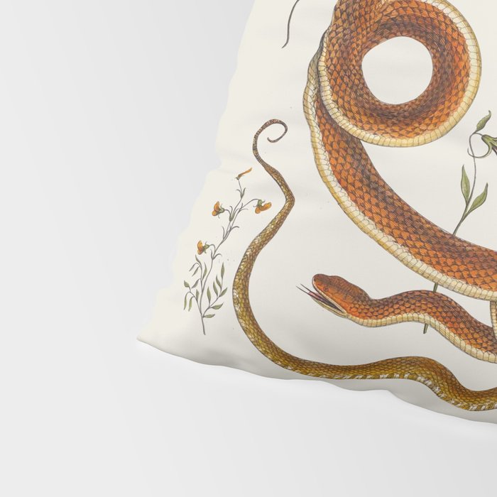 Albertus Seba Snakes Flowers Engraving ii Pillow Sham Gallery Image 4