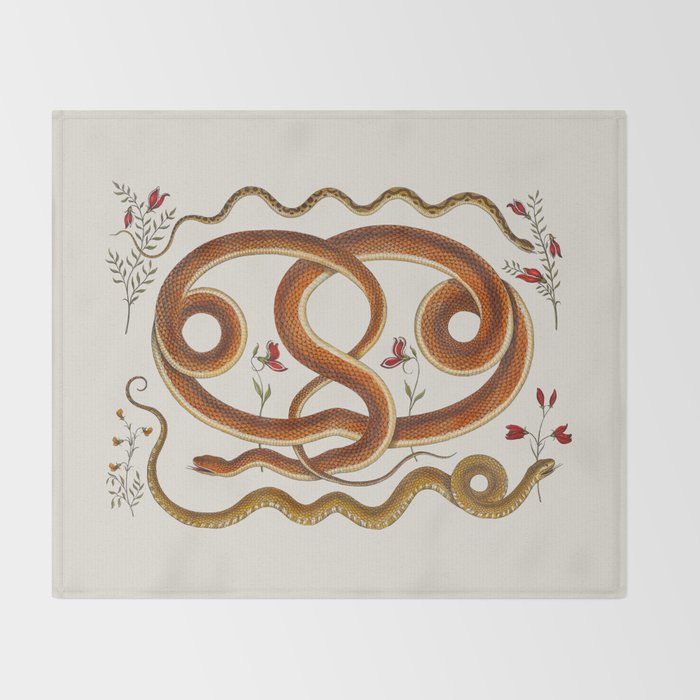 Albertus Seba Snakes Flowers Engraving ii Throw Blanket Gallery Image 2