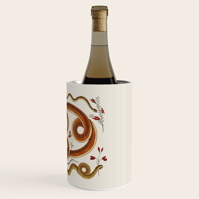 Albertus Seba Snakes Flowers Engraving ii Wine Chiller Gallery Image 3