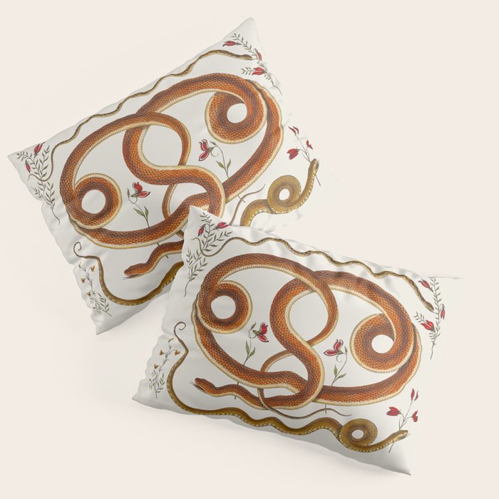 Albertus Seba Snakes Flowers Engraving ii Pillow Sham Gallery Image 1