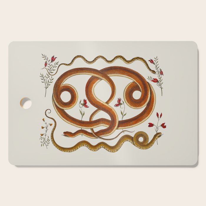 Albertus Seba Snakes Flowers Engraving ii Cutting Board Gallery Image 1