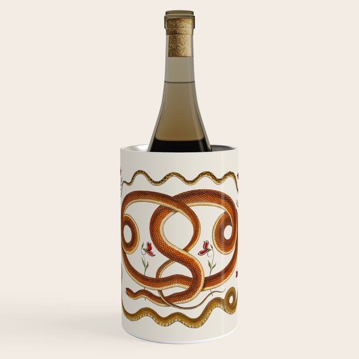 Albertus Seba Snakes Flowers Engraving ii Wine Chiller Gallery Image 1