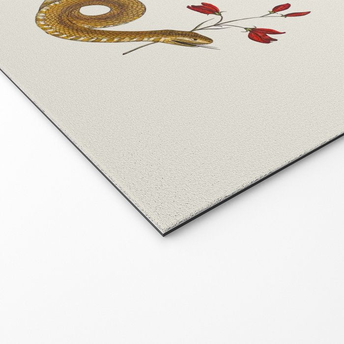 Albertus Seba Snakes Flowers Engraving ii Welcome Mat Gallery Image 2